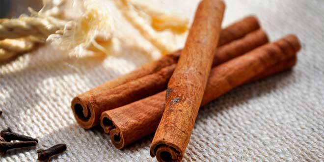 Cinnamon antioxidant