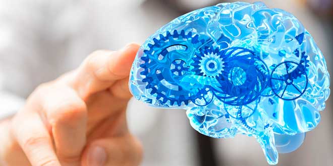 Cognitive capacity Supplements for students