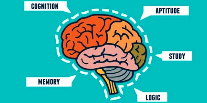 Cognitive performance Cognitive performance