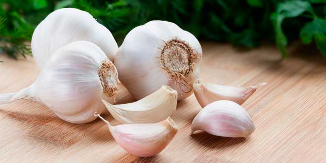 Garlic