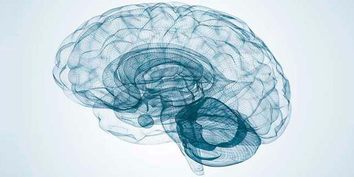 Omega 3 brain Omega 3 brain