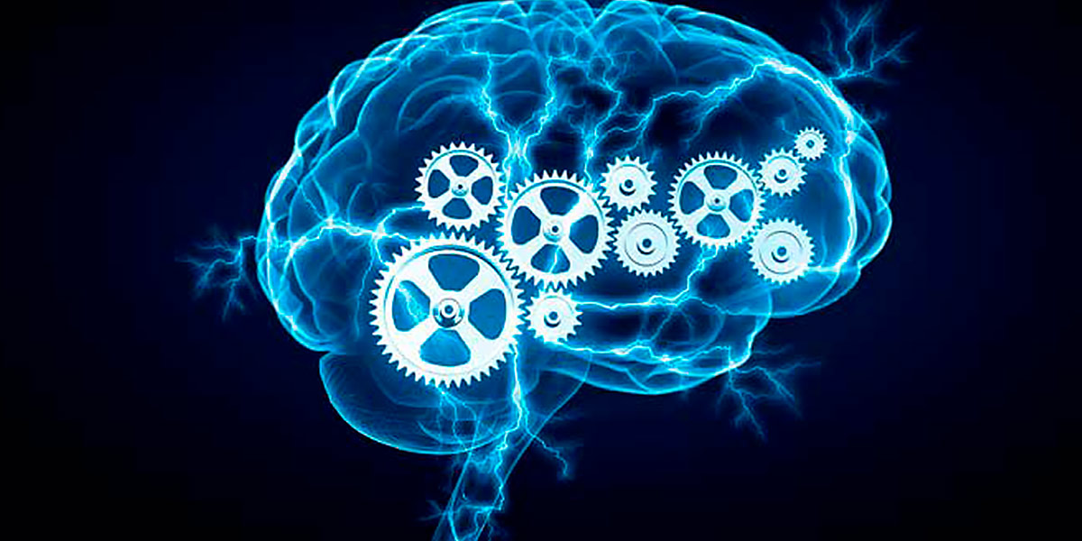 Tyrosine brain health Tyrosine brain health