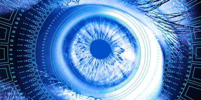 Zeaxanthin and vision