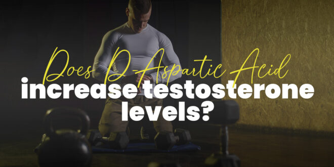 To what extent does D-Aspartic Acid increase Testosterone levels?