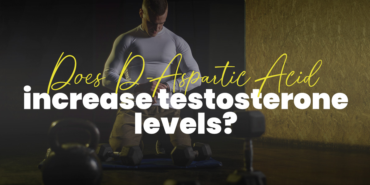 Aspartic Acid to Increase Testosterone【2024