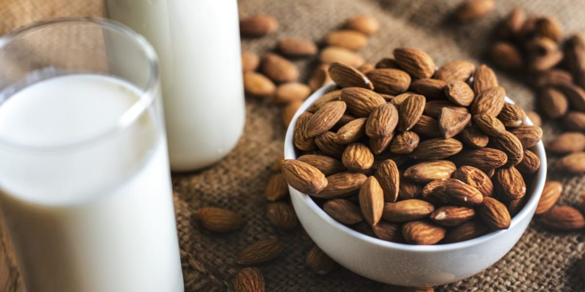 Dairy alternatives Dairy alternatives