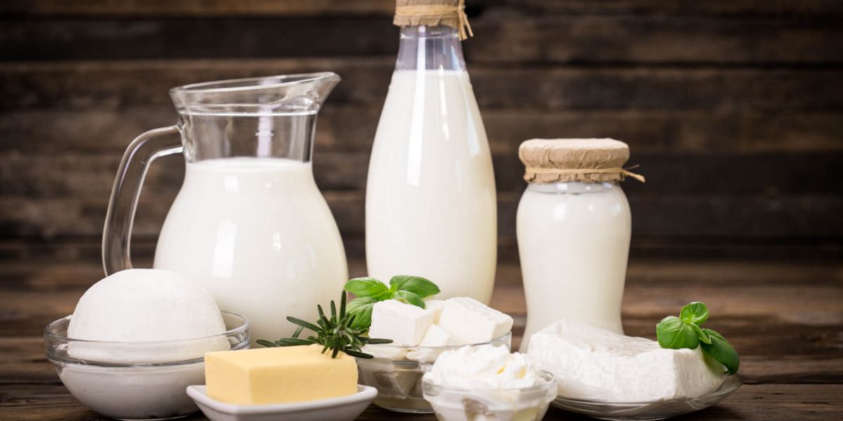 Dairy products Dairy products