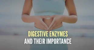 Digestive Enzymes and their Importance