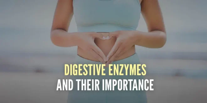 Digestive Enzymes and their Importance