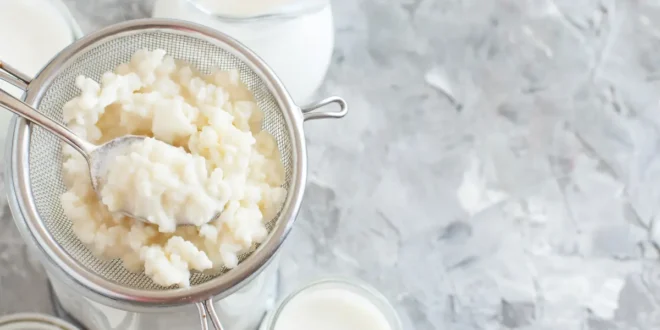 12 benefits of including kefir in your diet