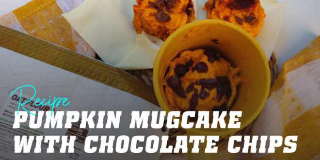Pumpkin Mug Cake with Chocolate Chips