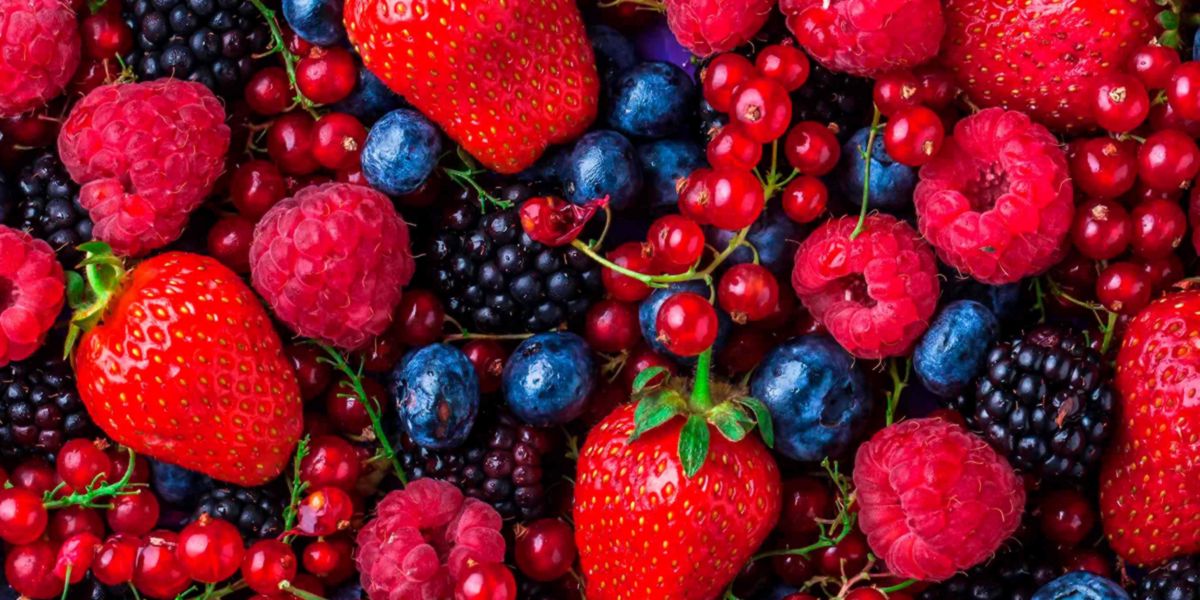 Red berries Red berries