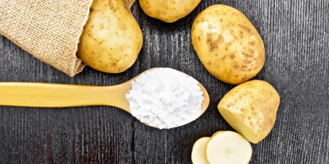 Resistant Starch: What You Need to Know