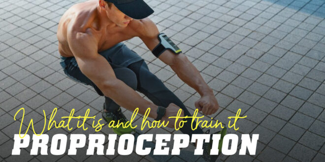 Proprioception: What it is and How to Train it Proprioception: What it is and How to Train it