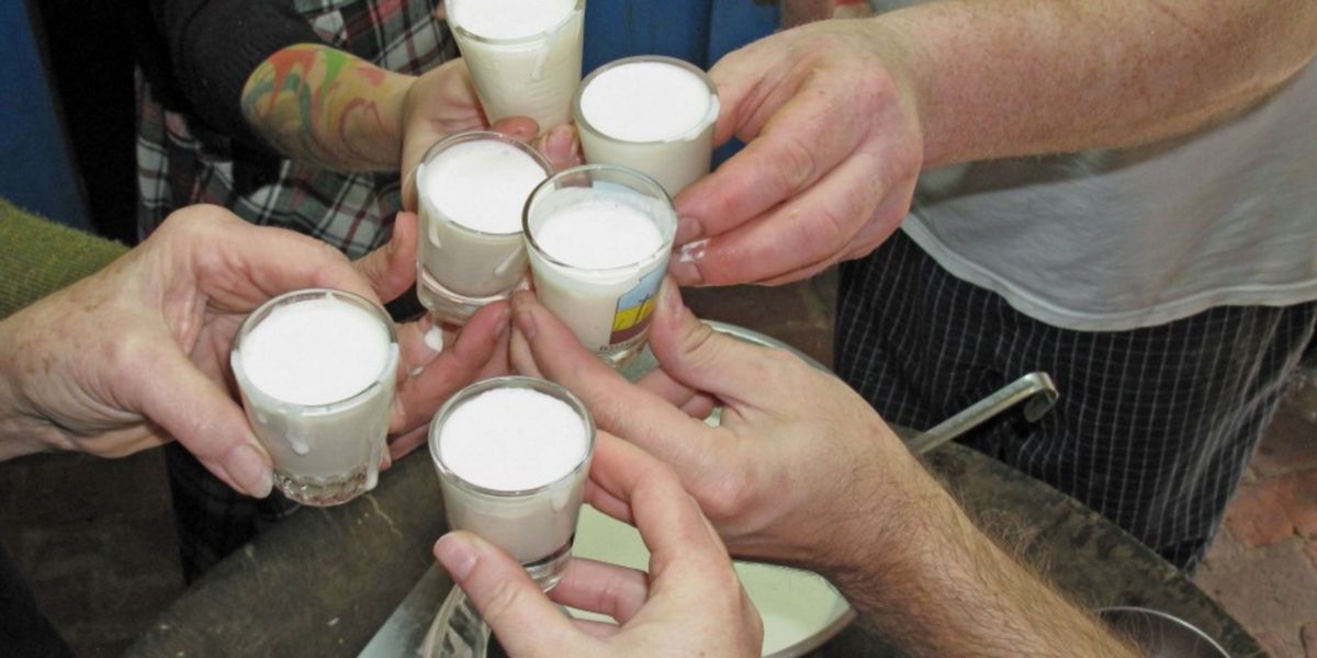Toasts with Eggnog Toasts with Eggnog