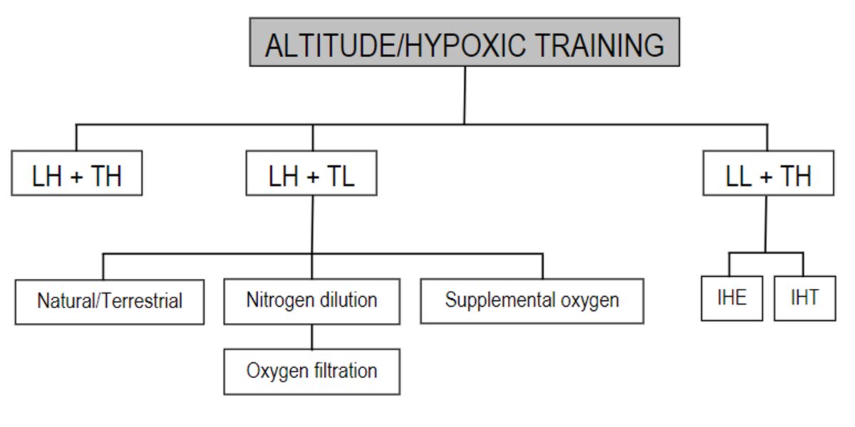 Training strategy