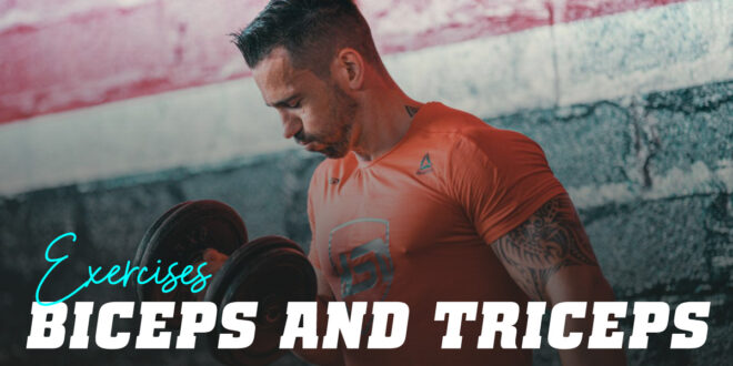 Bicep and Tricep Exercises Bicep and Tricep Exercises