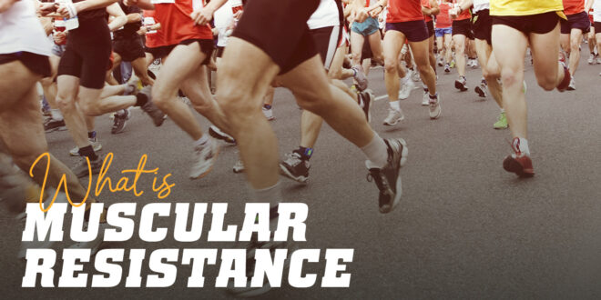 Everything you need to know about Muscular Endurance