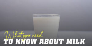 Milk Everything you need to know about this liquid food