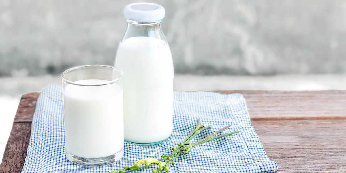 Milk Milk