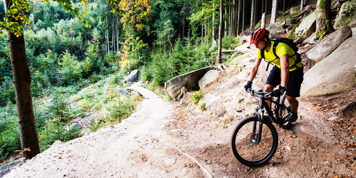 Mountain biking or road cycling, which is better