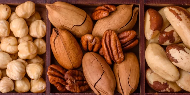 Nuts: What are they and which ones are not fattening on a fitness diet Nuts: What are they and which ones are not fattening on a fitness diet