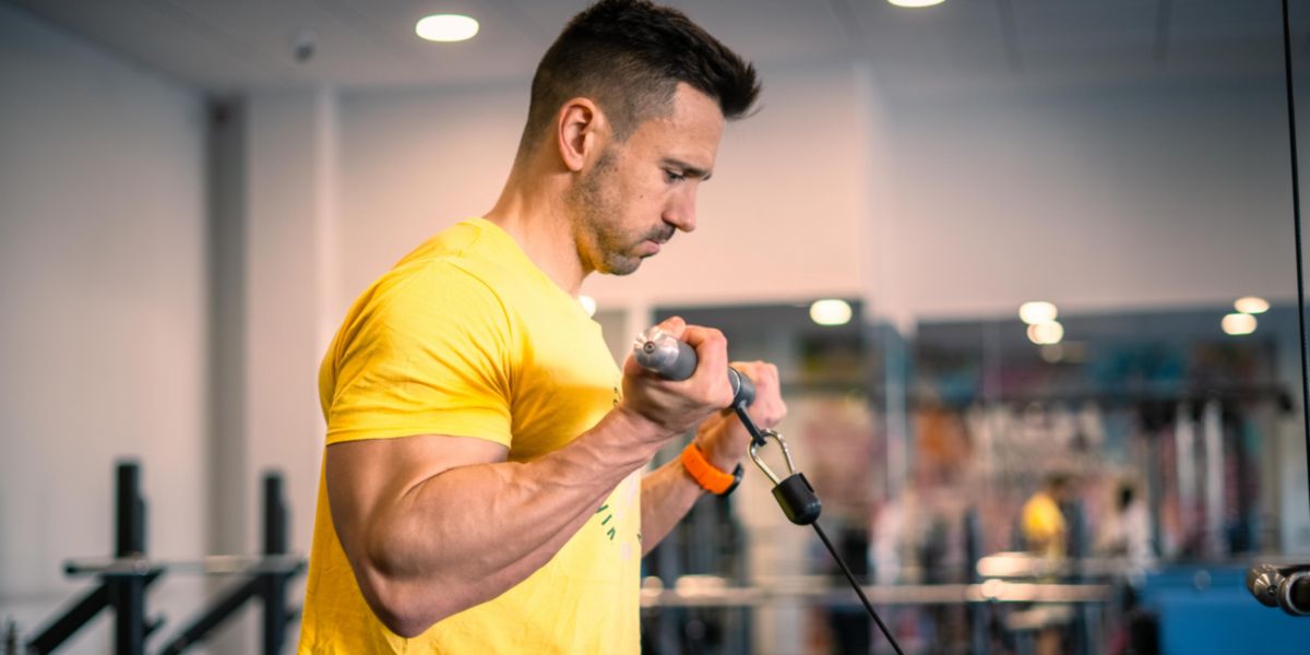 Pulley biceps curl Pulley biceps curl