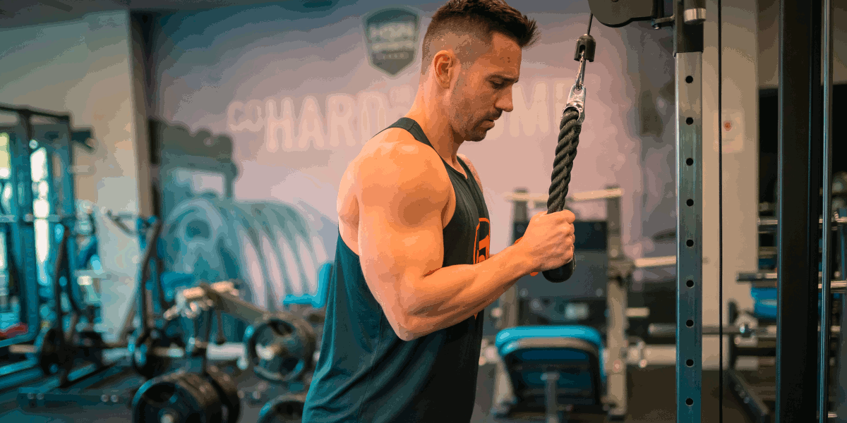 Bicep and Tricep Exercises Which are the BEST?