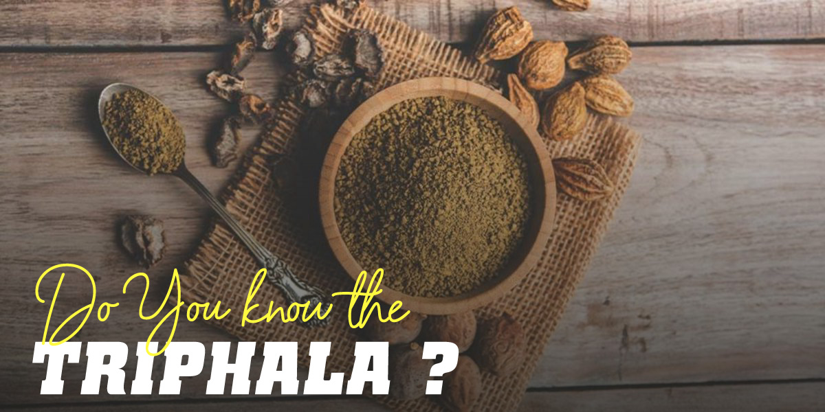 Triphala Get to know this herb in depth【HSN Blog】