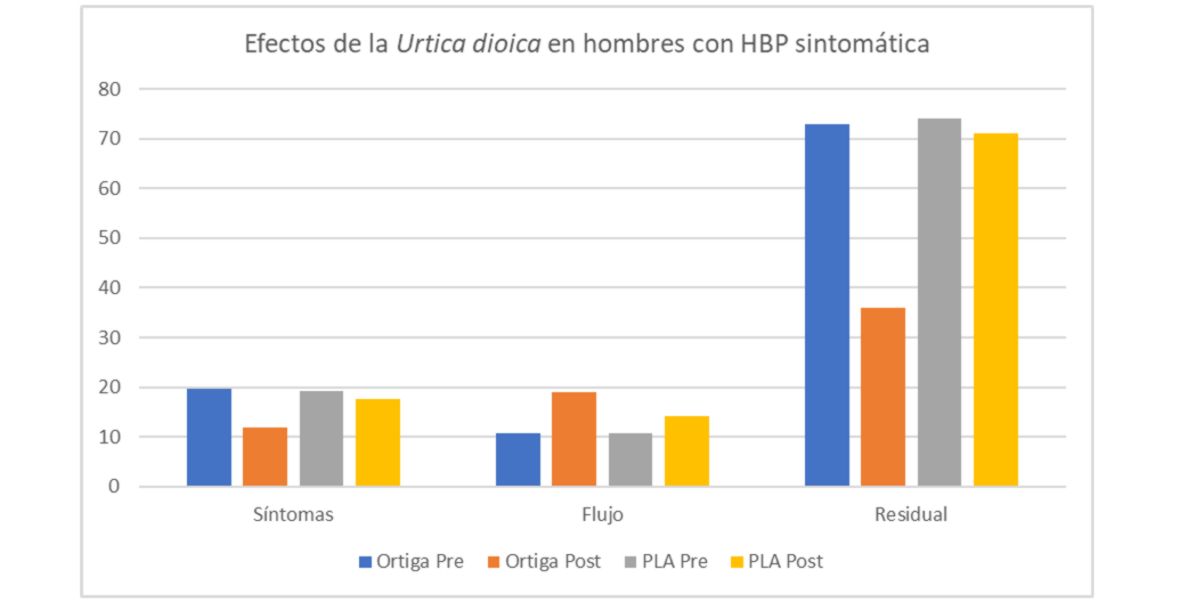 Effects of Urtica Dioica