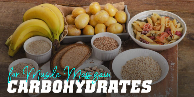 Carbohydrates for Gaining Muscle Mass