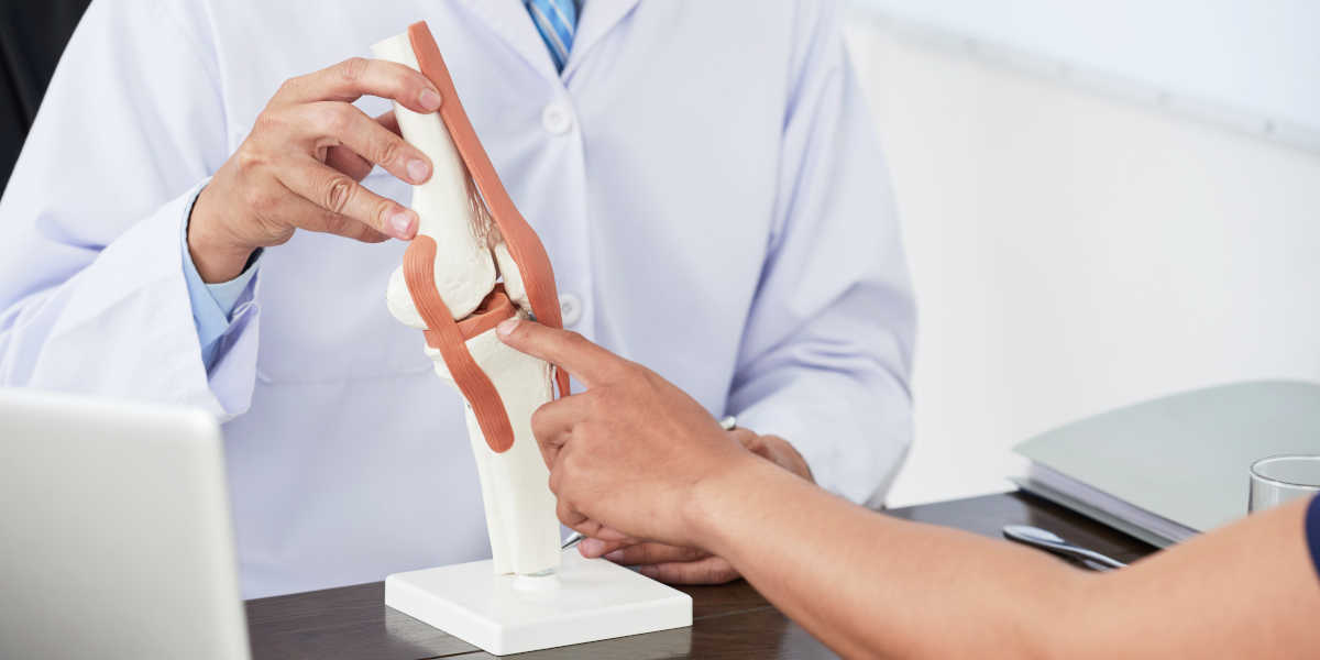 Is bamboo extract the remedy for joints? Is bamboo extract the remedy for joints?