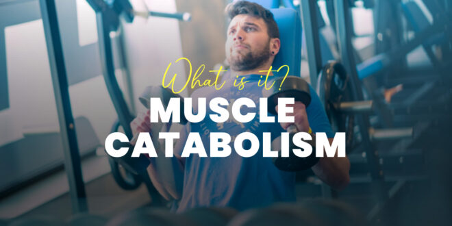 Muscle Catabolism: What It Is, Why It Happens and How to Avoid It