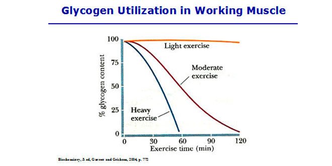 Energy from the phosphagen system Energy from the phosphagen system