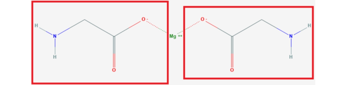 Magnesium bisglycinate representation Magnesium bisglycinate representation