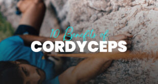 Cordyceps Benefits