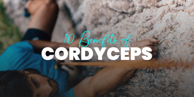 10 Interesting Benefits of Cordyceps