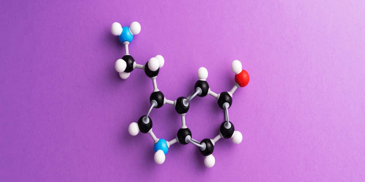 How do cordyceps work on hormones?