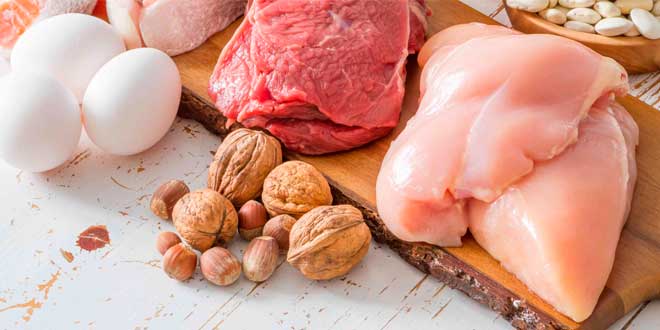 A High Protein Diet does not harm the kidneys A High Protein Diet does not harm the kidneys