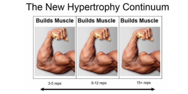 Hypertrophy continuum