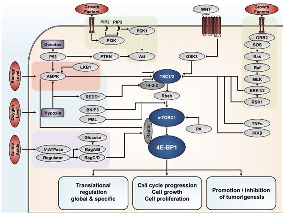 Signalling mechanisms