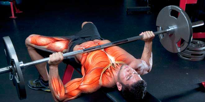 Strength Training