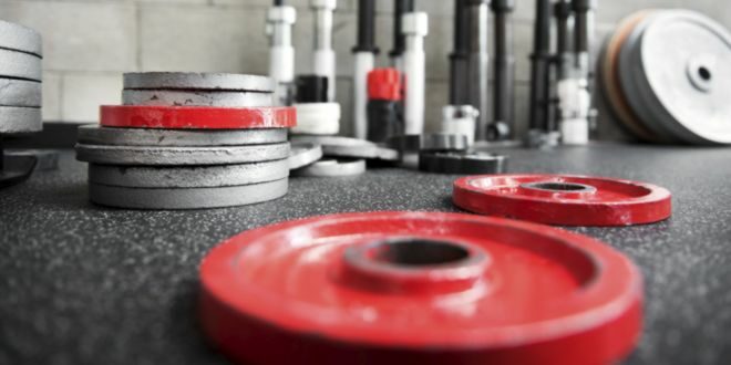 What prevents the formation of muscle mass What prevents the formation of muscle mass