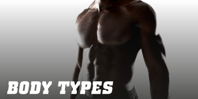 What they are and how to find find out My Body Type What they are and how to find find out My Body Type