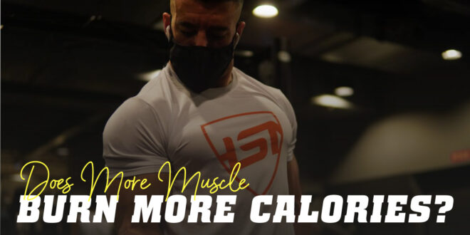 Does More Muscle Burn More Calories?