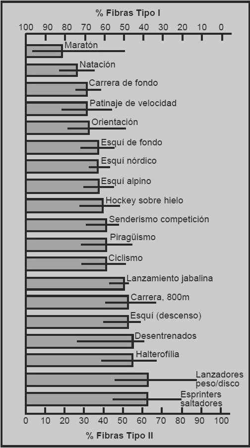 Fibre types