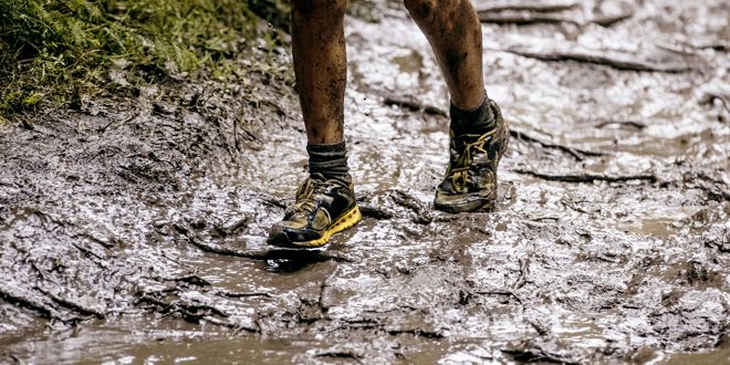 Trail Running - How to Get Started, Equipment, Tips...