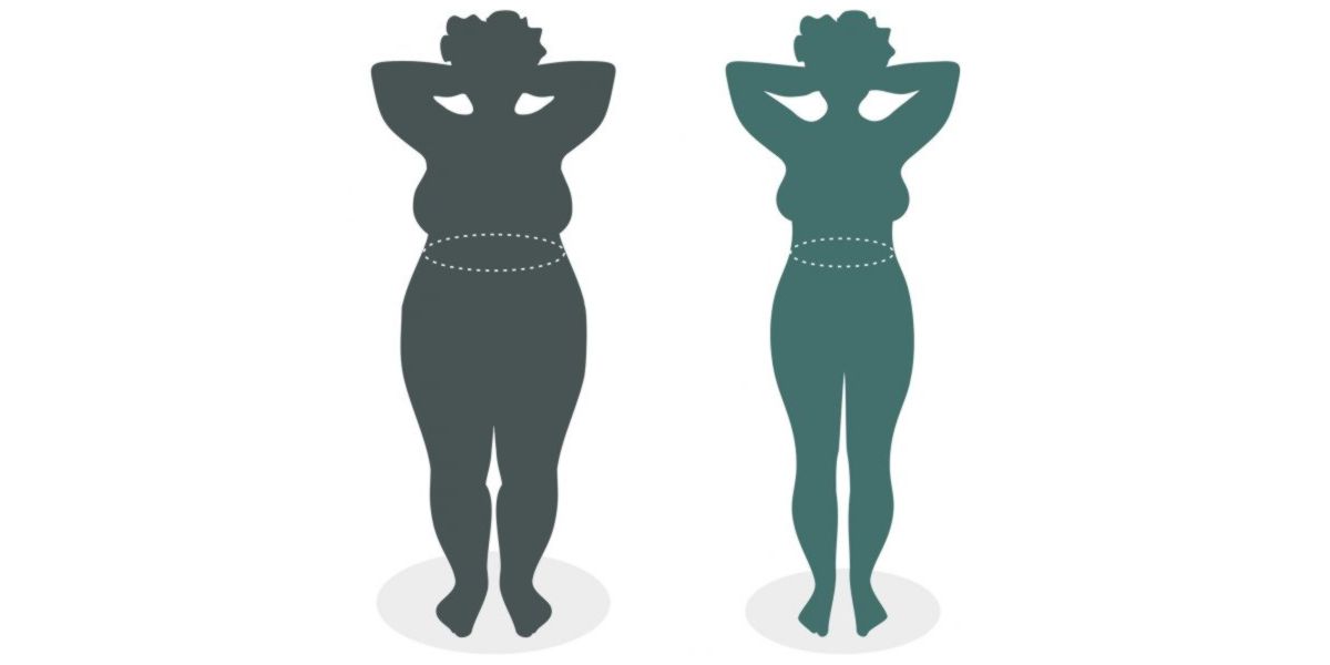 Dukan diet phases