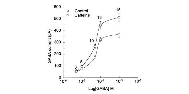 Gaba caffeine graphic Gaba caffeine graphic