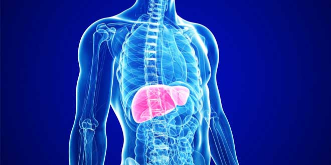Same and liver health Same and liver health